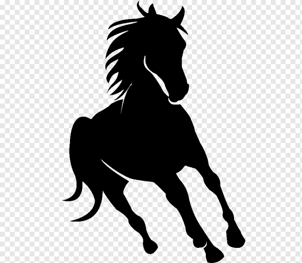 Фоизская лошадь силует