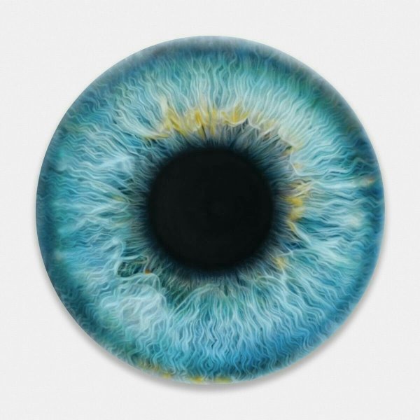 Радужная оболочка глаза