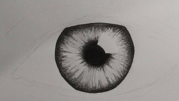 Зрачок глаза