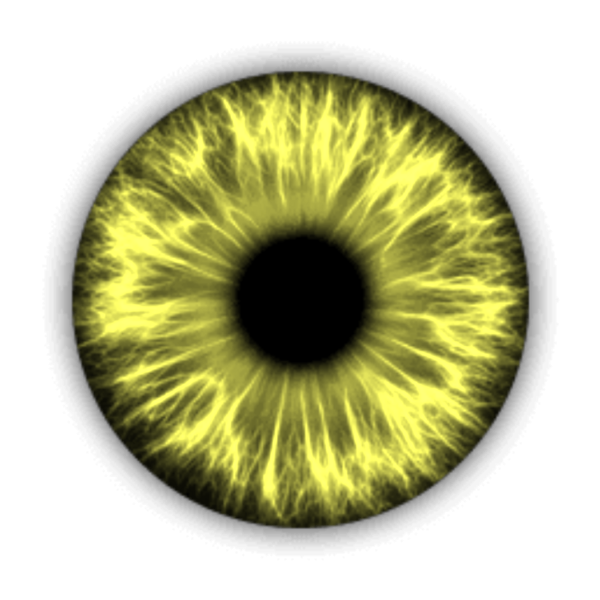 Глаз гравюра