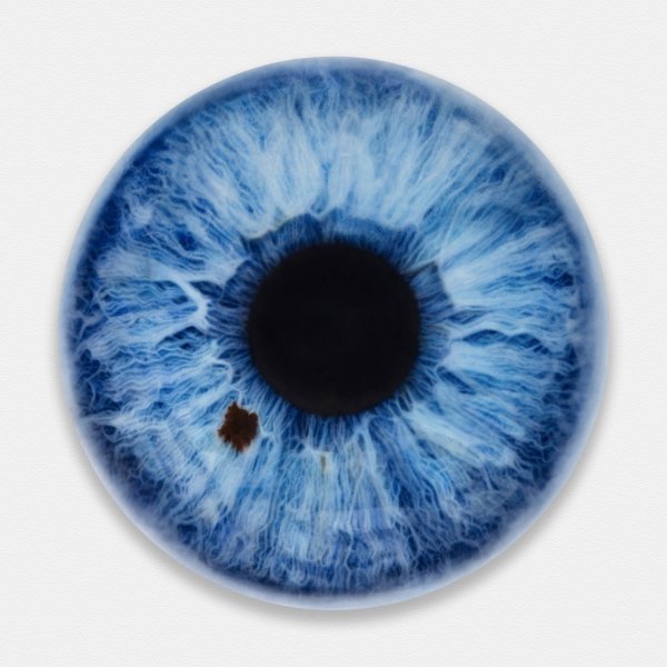 Радужка глаза