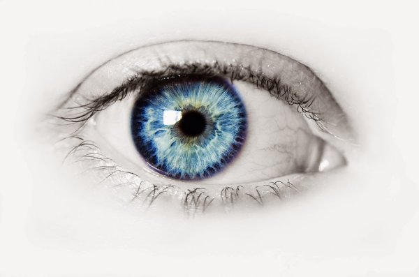 Радужка глаза