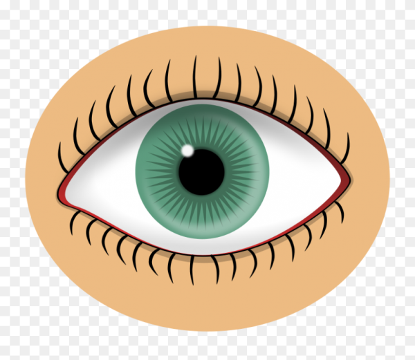 Желтая радужка глаза