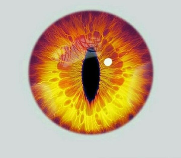 Синий зрачок