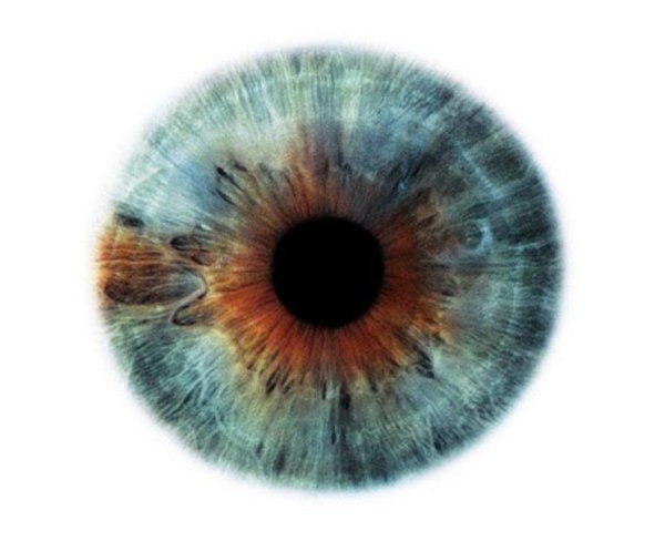 Серая радужка глаз