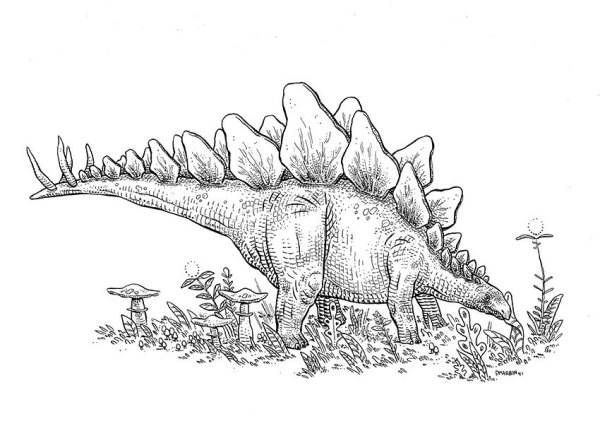 Нарисовать Стегозавра
