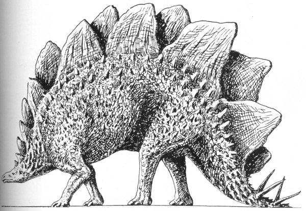 Стегозавр контур