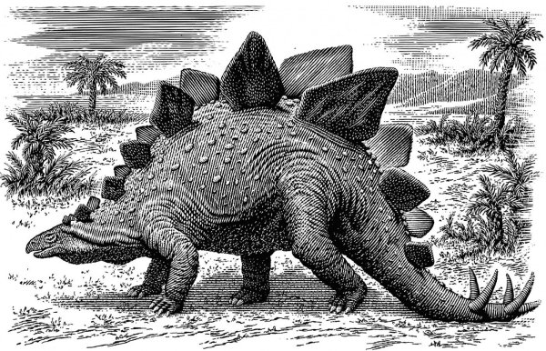 Раскраска динозавр Стегозавр