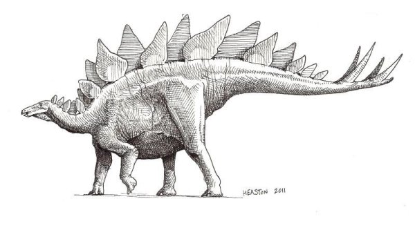 Stegosaurus Rex группа