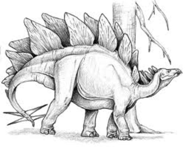 Стегозавр раскраска