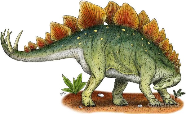 Стегозавр и человек