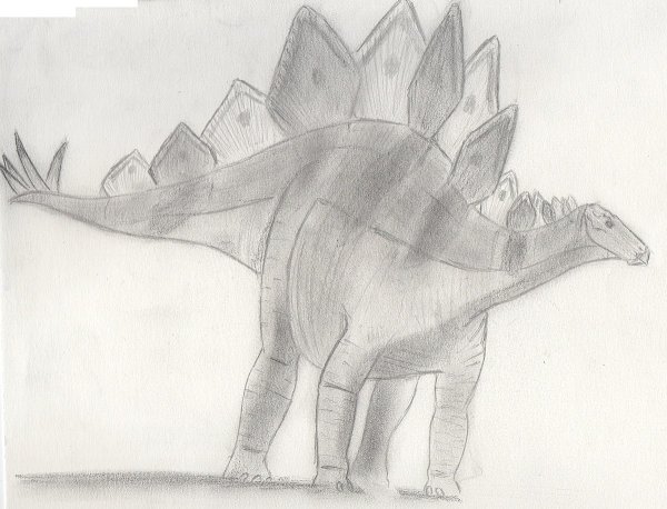 Раскраска динозавр Стегозавр