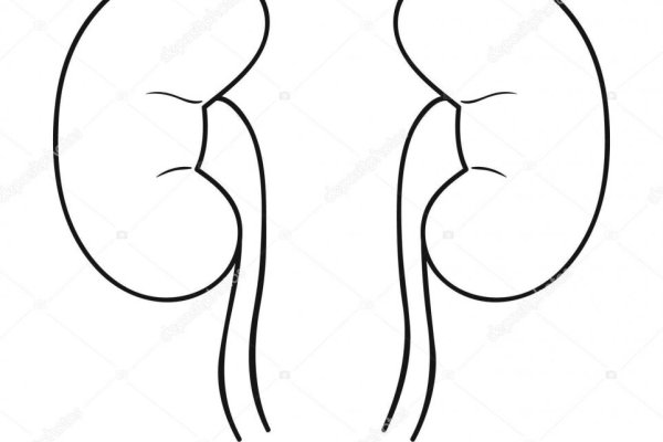 Почка карандашом