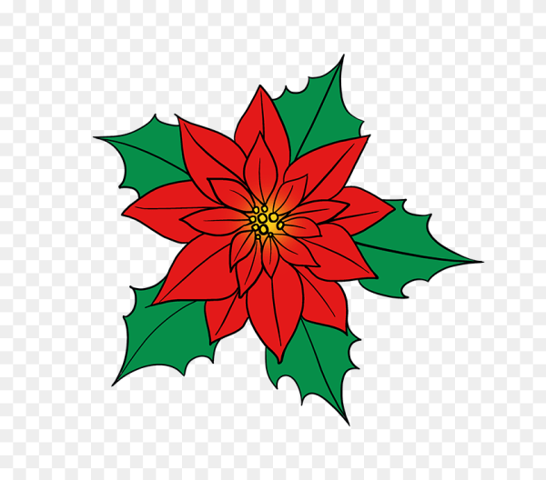 Пуансеттия референс