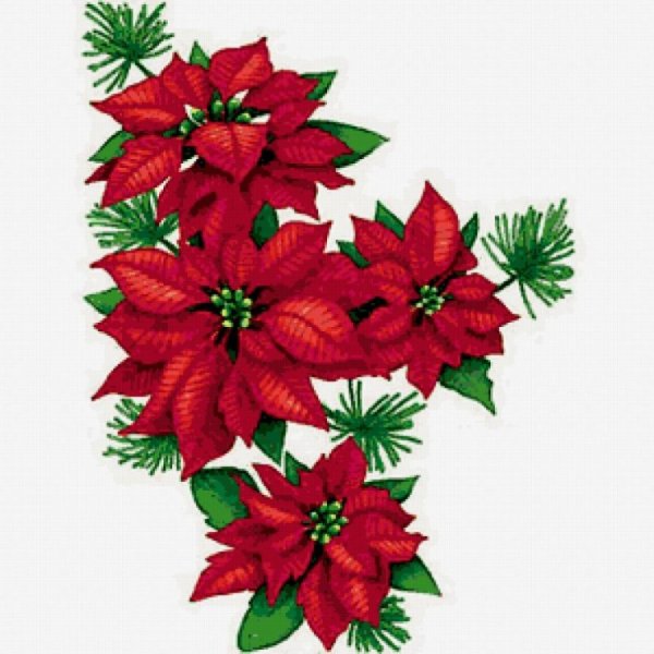 Пуансеттия Вышивание гладью