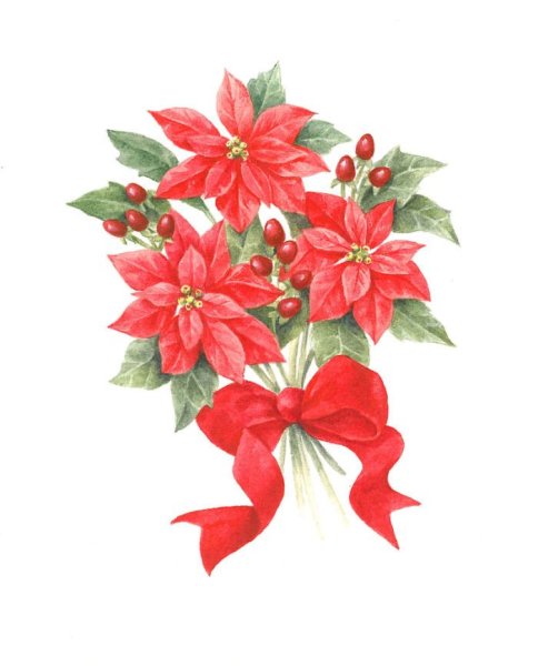 Пуансеттия для скрапа