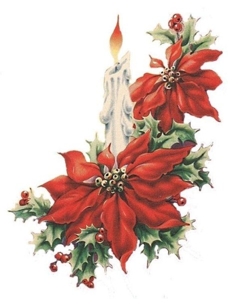 Новогодний узор пуансеттия