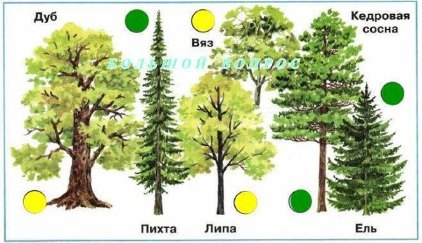 Рисование для детей лес