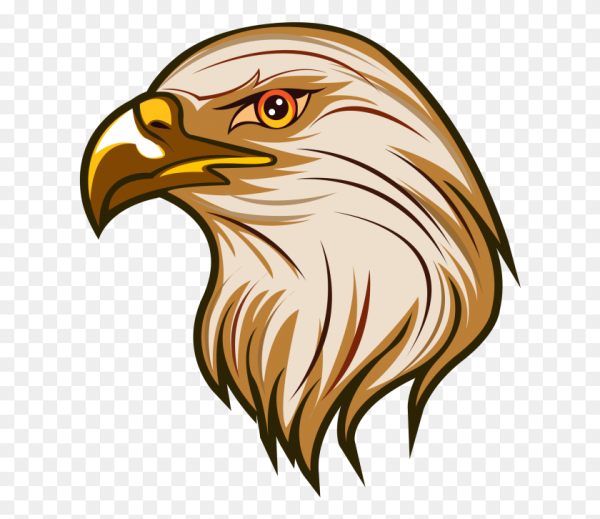 Голова орла