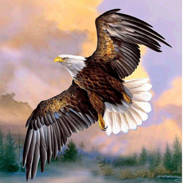 Алмазная мозаика белоголовый Орел