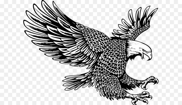 Векторное изображение орла