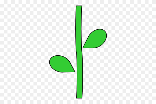 Стебель цветка