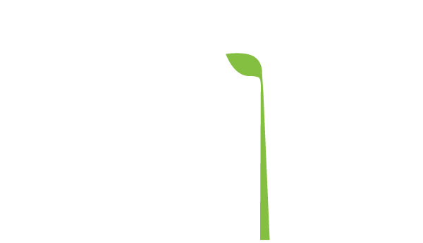 Стебель цветка