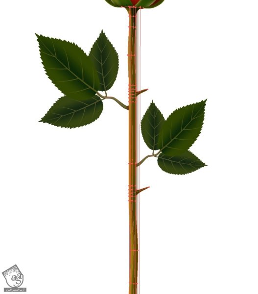 Растение стебель с листьями