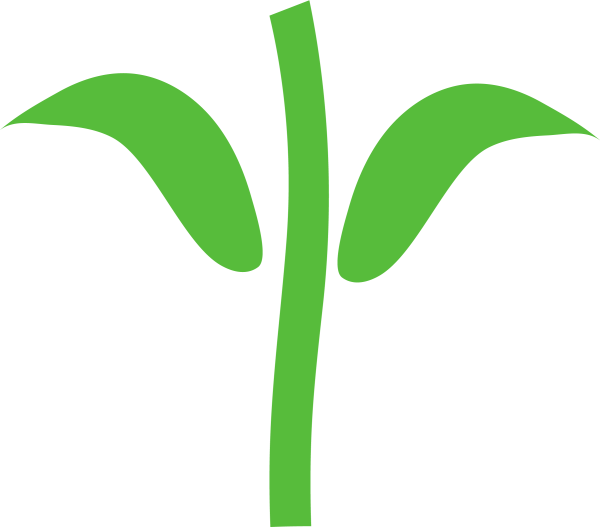 Стебель цветка