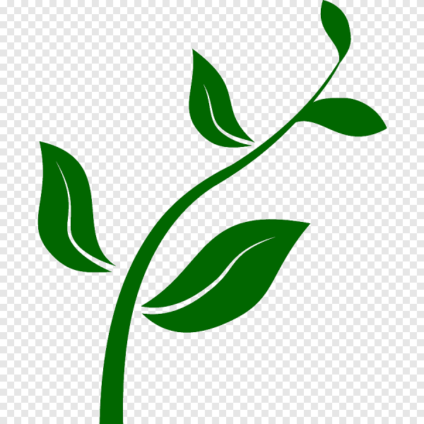 Стебель с листиками