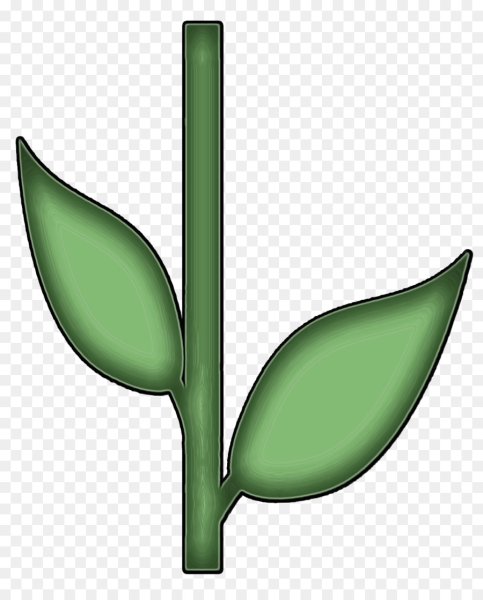 Векторные растения на прозрачном фоне