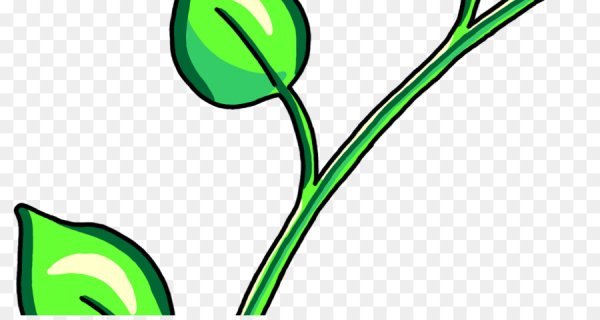 Стебель цветка