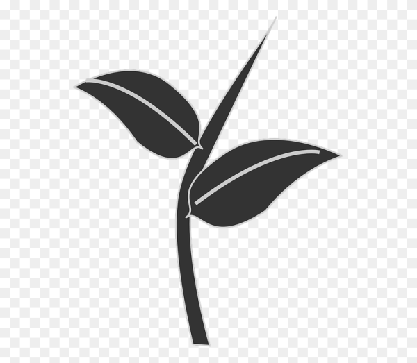 Стебель с листиками