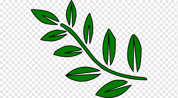 Стебли цветов