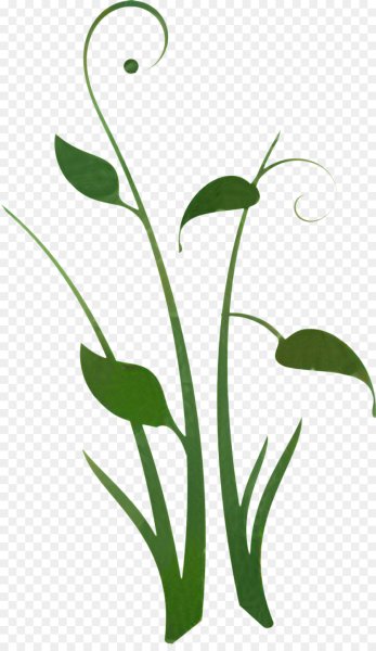 Вьющиеся стебли