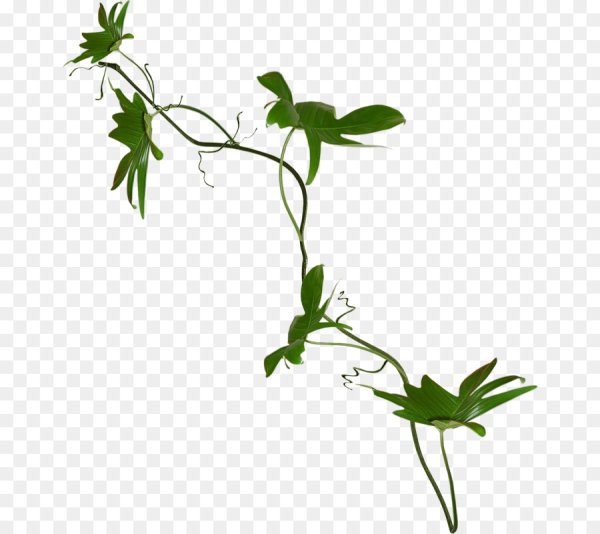 Цветочек на стебельке