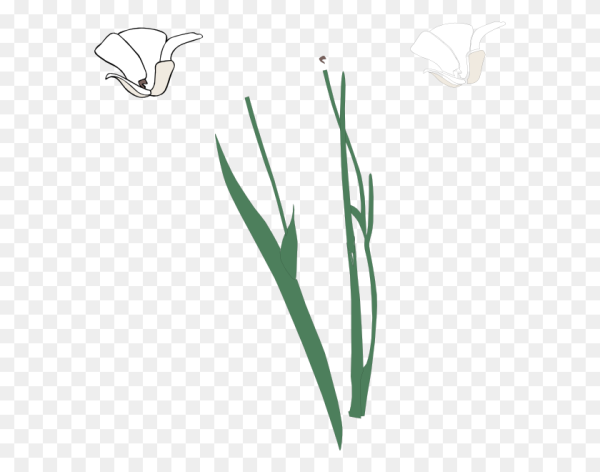 Растение стебель с листьями