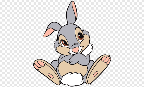 Cartoon рэббит