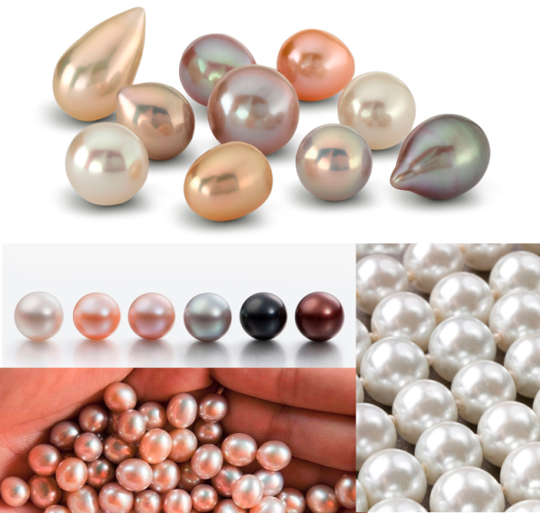 Ракушки мультяшные