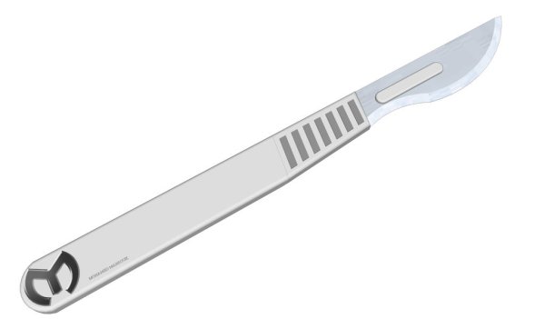 Скальпель брюшистый рисунок