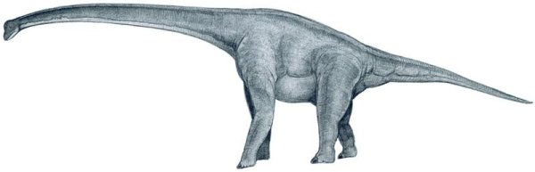 Динозавр Диплодок рисунок