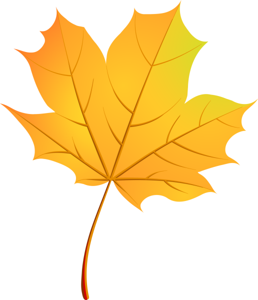 Клен раскраска