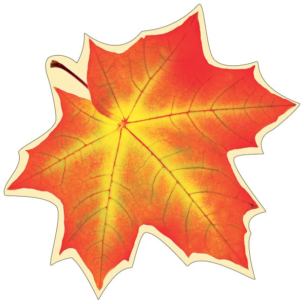 Кленовые листья для детского сада