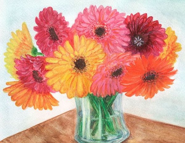 Андрияки герберы