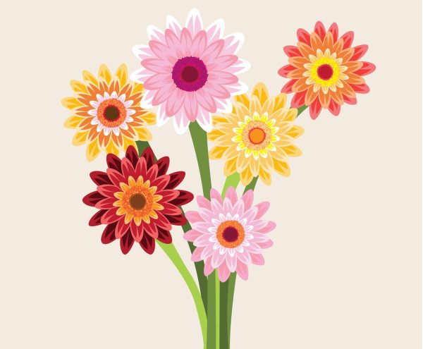 Гербера вектор
