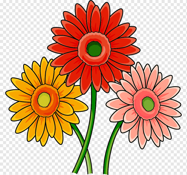 Цветы цветные для вырезания герберы