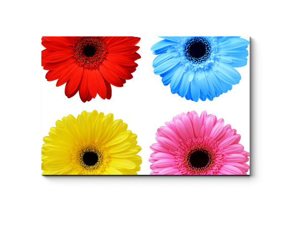 Гербера стилизованная