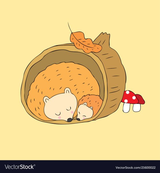 Ежик спит иллюстрация