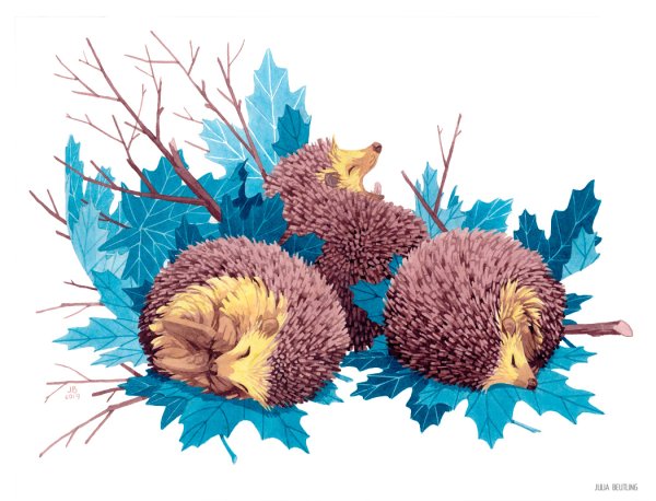 Ежик с листьями