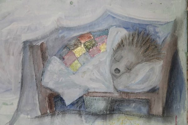 Ежики спят акварель
